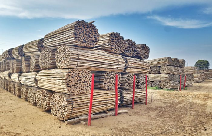 forestales-daxsa-postes-para-parrones1
